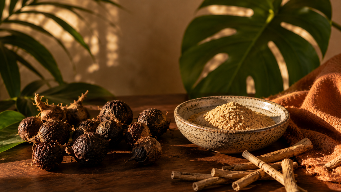 Racines de maca noire et bâtonnets d'ashwagandha avec de la poudre adaptogène pour lutter contre la fatigue nerveuse et le stress.