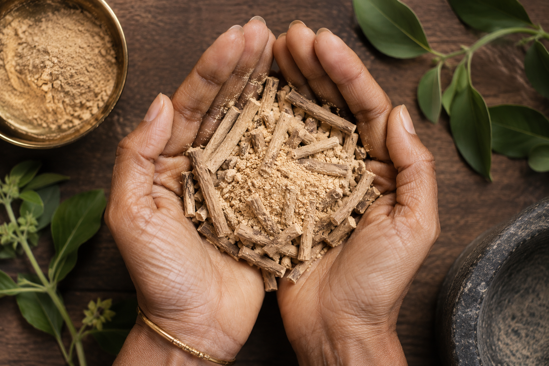 Mains jointes tenant des racines et de la poudre d'ashwagandha pure, illustrant les bienfaits des plantes adaptogènes pour la gestion du stress.
